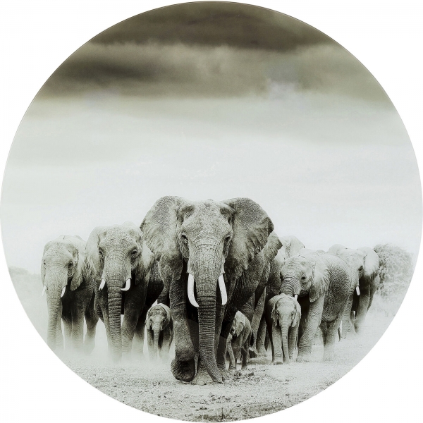 KARE Design Skleněný obraz Elephant Walk Ø120cm