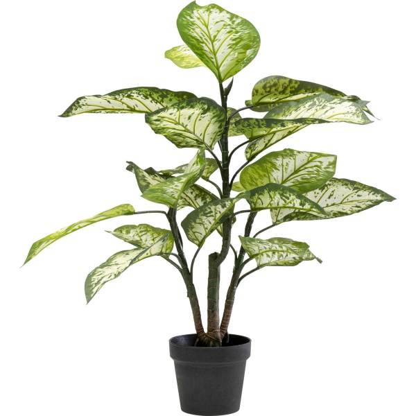 KARE Design Dekorativní rostlina Dieffenbachie 100cm